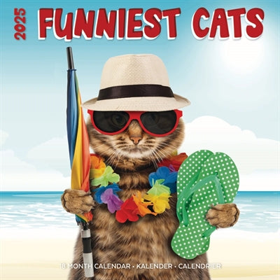 Kalender funniest cats 2025