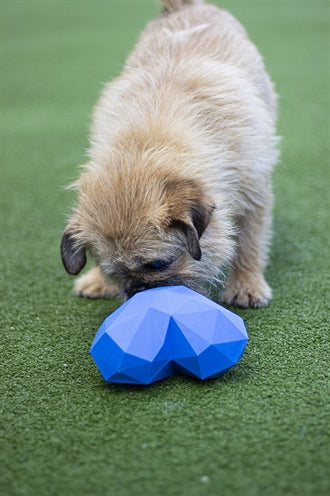 Battersea Feeding Ball Hart guma niebieska