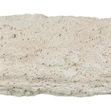 Back zoo nature super stone perch