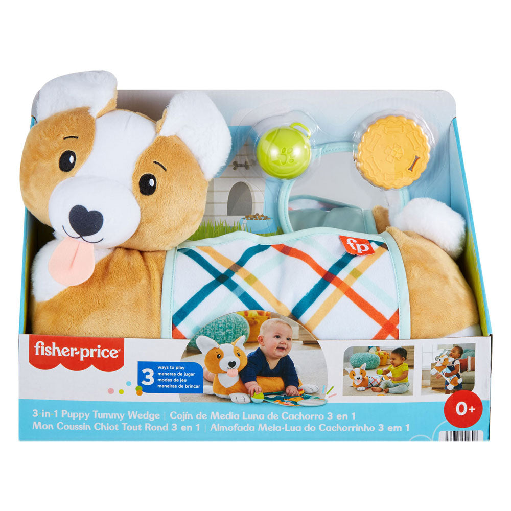 Fisher Price 3in1 Puppy Buikligtrainer