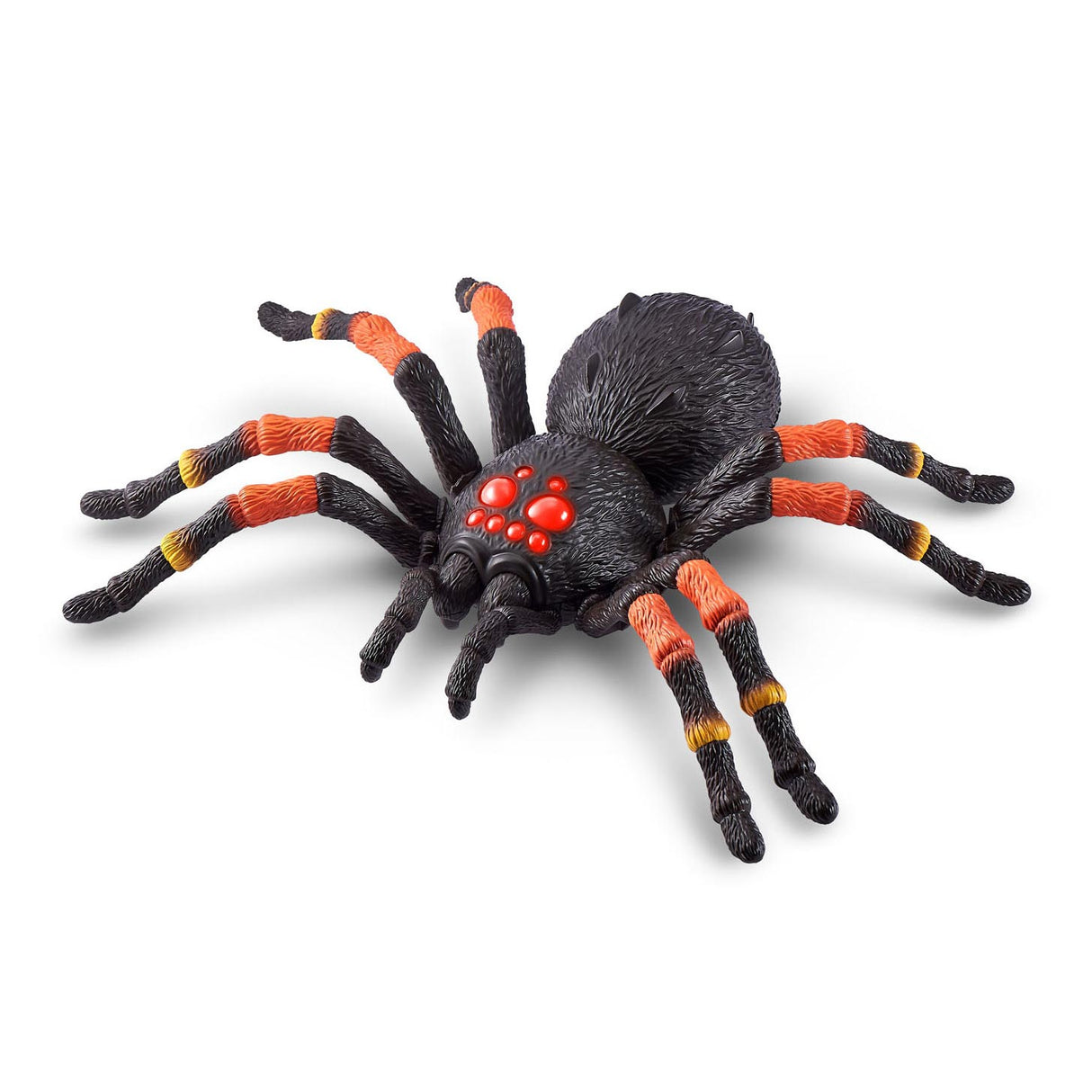 Zuru robo živi tarantula