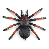 Zuru robo živi tarantula