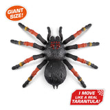 Zuru robo živi tarantula