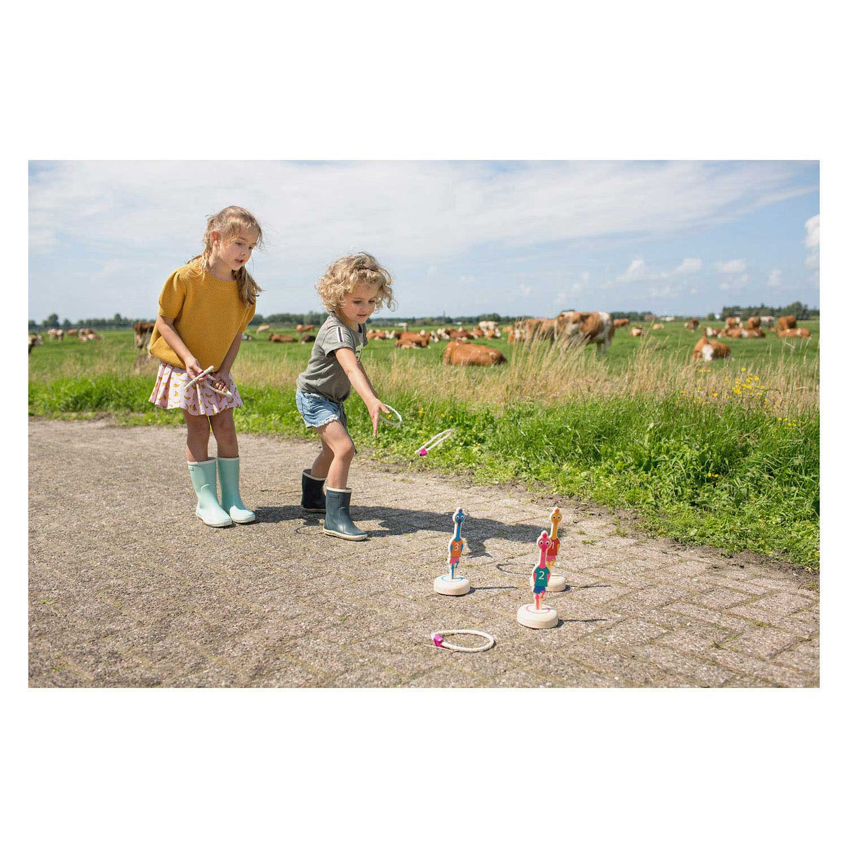 BS Toys Ringwerpen Vogels Wood Throwing Game