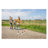 BS Toys Ringwerpen Vogels Game di lancio in legno