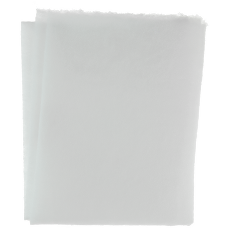 1061074 - dampkapfilter 2st 47x57cm | 10 stuks