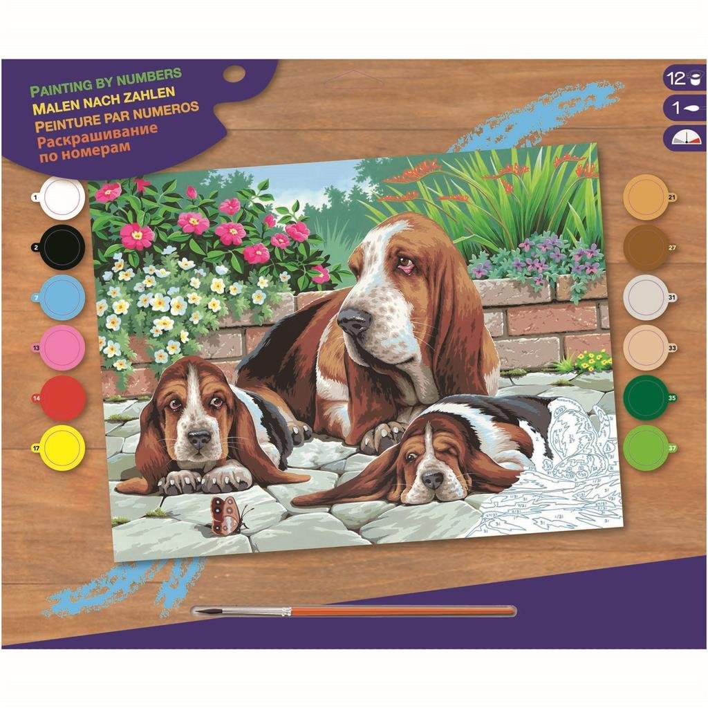 Pintura básica en número Basset Dogs