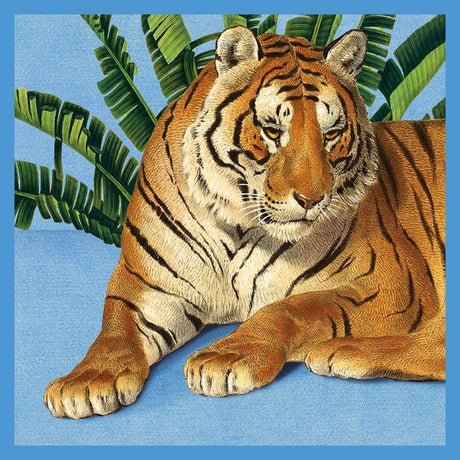 Kaart+envelop tijger. 16x16 cm | 6 stuks