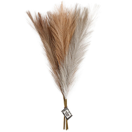 Creativ company http: www.cchobby.nl pampasgras-l-50-cm-licht-beige-lichtbruin-lichtgrijs-3-stuk-1-bol