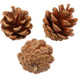 Https: www.cchobby.nl dennenappels-d-40-mm-ca-60-stuk-500-gr-1-doos