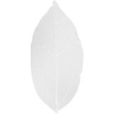 Http: www.cchobby.nl skeleton-leaves-l-6-8-cm-wit-20-stuk-1-doos
