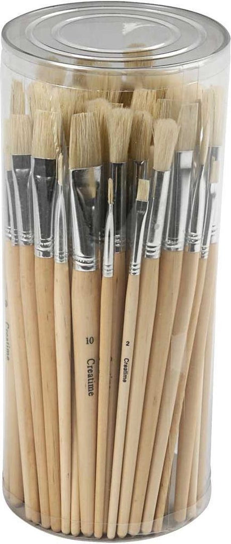Creativ company nature line kwasten, 1-10, 80 stuks