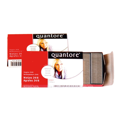 Nieten quantore 24 6 1000stuks verzinkt