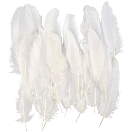 Creativ company cc ganzenveren 15 cm wit 70 stuks