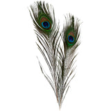 Creativ company https: www.cchobby.nl pauwenveren-l-25-30-cm-10-stuk-1-doos