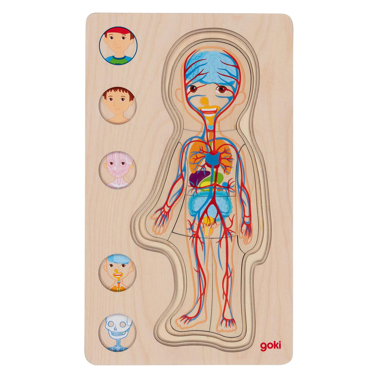 Goki dřevěná vrstva Puzzle Human Body Boy, 29st.