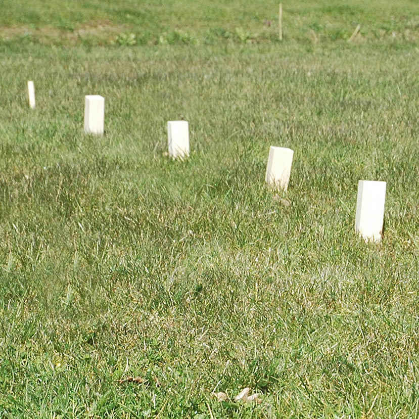 Goki schaakspel kubb vikingen medium