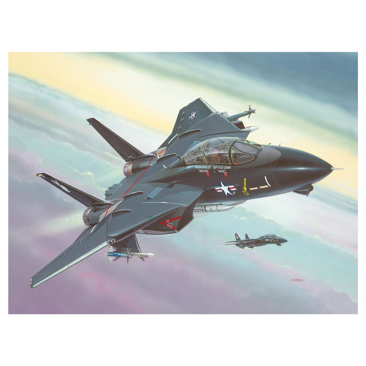 Revell f-14a black tomcat