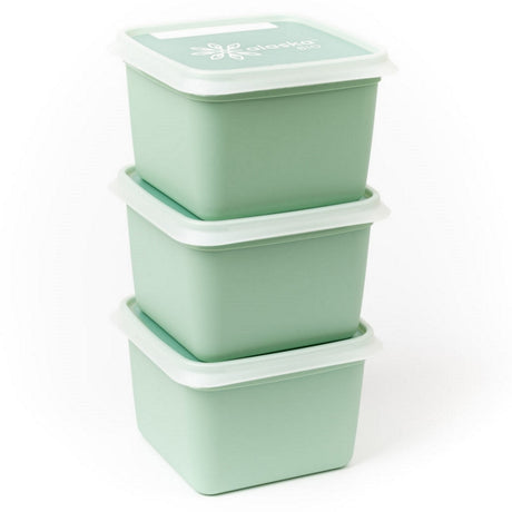 Amuse dbp alaska diepvriesdozen vierkant 0.75l 3 stuks mintgroen