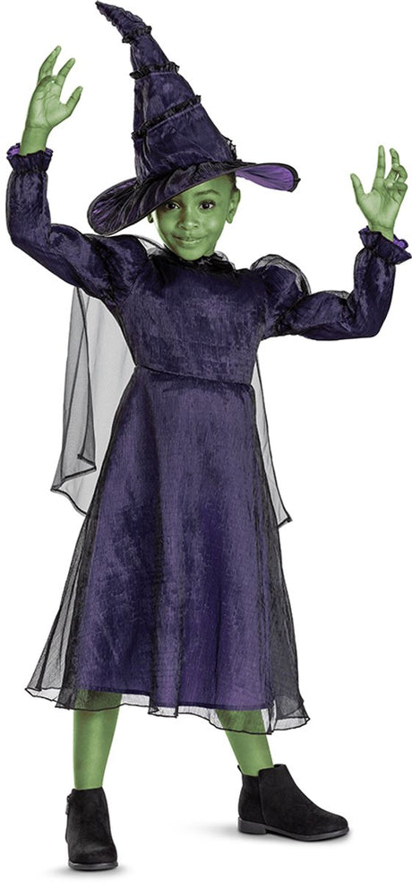 Disguise wicked (nbc universal), elphaba deluxe, maat xs (3t-4t jaar), meisjes 104 110
