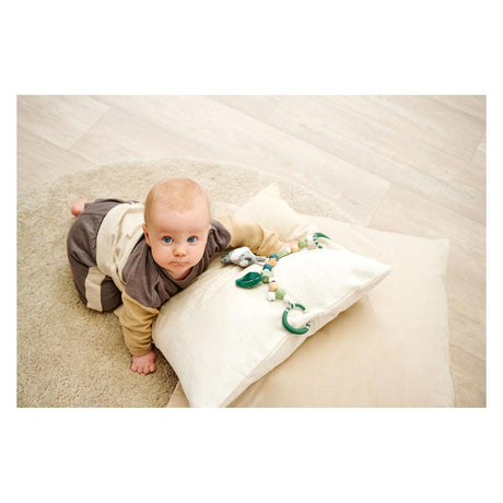 Eichhorn baby hipp kinderwagenspanner