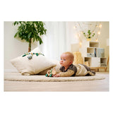 Eichhorn baby hipp houten duwfiguur ezel