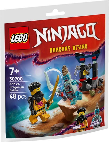 Lego ninjago 30700 arin vs. draconier