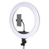 Studioking led ringlamp set 65w lr-650