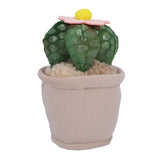 Pluchiez pluche plantjes 15 cm assorti | 16 stuks