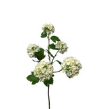 Roberts collection kunstbloem snowball spray 83cm creme