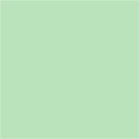 Creativ company papier lichtgroen a4 80gr, 20st.