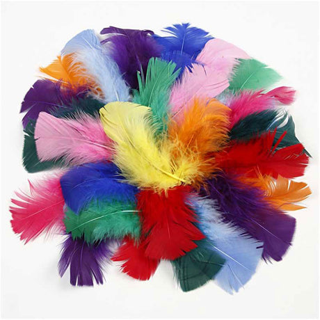 Creativ company veren in diverse kleuren 7-8cm, 50gr