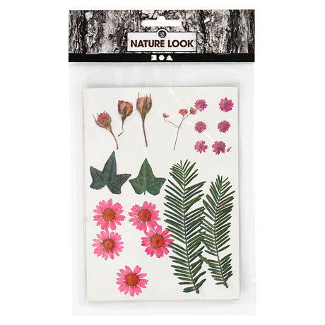 Creativ company gedroogde bloemen en bladeren lichtrood, 19dlg.