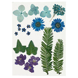 Fleurs séchées et feuilles bleues, 19dlg.