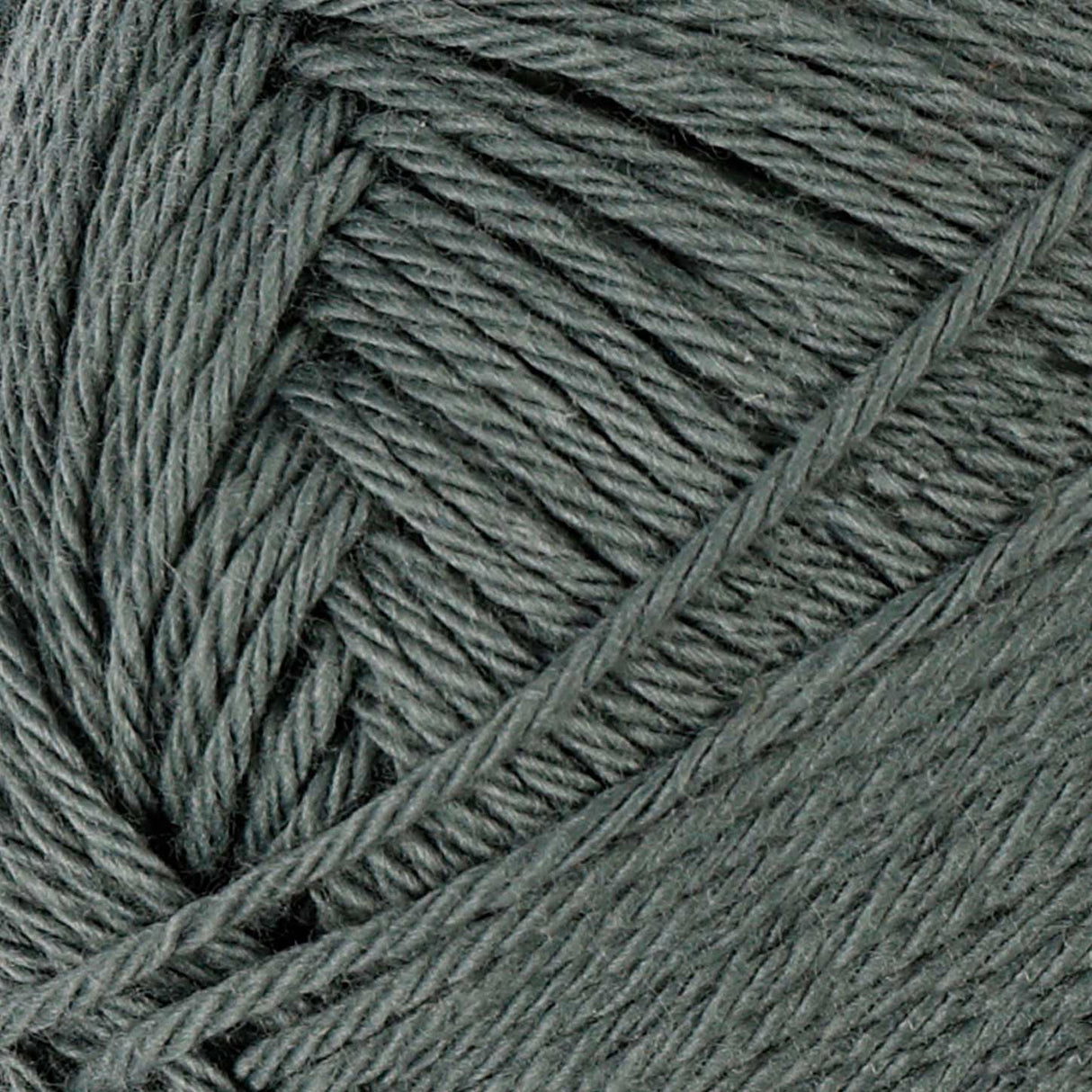 Filato di cotone, grigio, 50gr, 170m