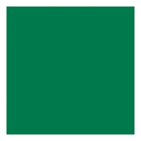 Creativ company tissuepapier groen 10 vellen 14 gr, 50x70cm