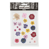 Creativ company gedroogde bloemen en bladeren diverse kleuren
