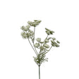 Roberts collection kunstbloem dille 80cm wit