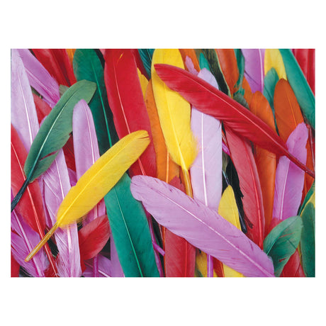 Colorations veren | assorti gekleurd | 10 cm | 145 stuks