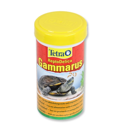 Tetra gammarus tortuga comida