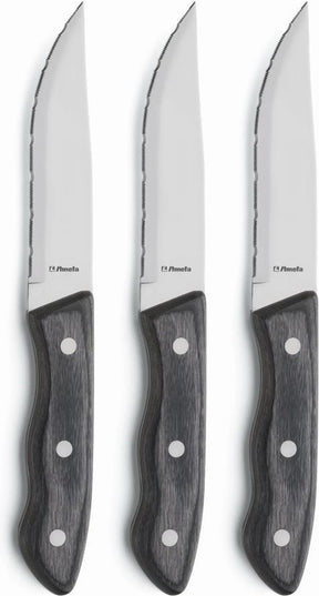 Amefa hercule 3-delige xl steakmessenset – vlijmscherp – micro-serration – 13 0 gehard messenstaal – pakka wood – veilige cadeauverpakking