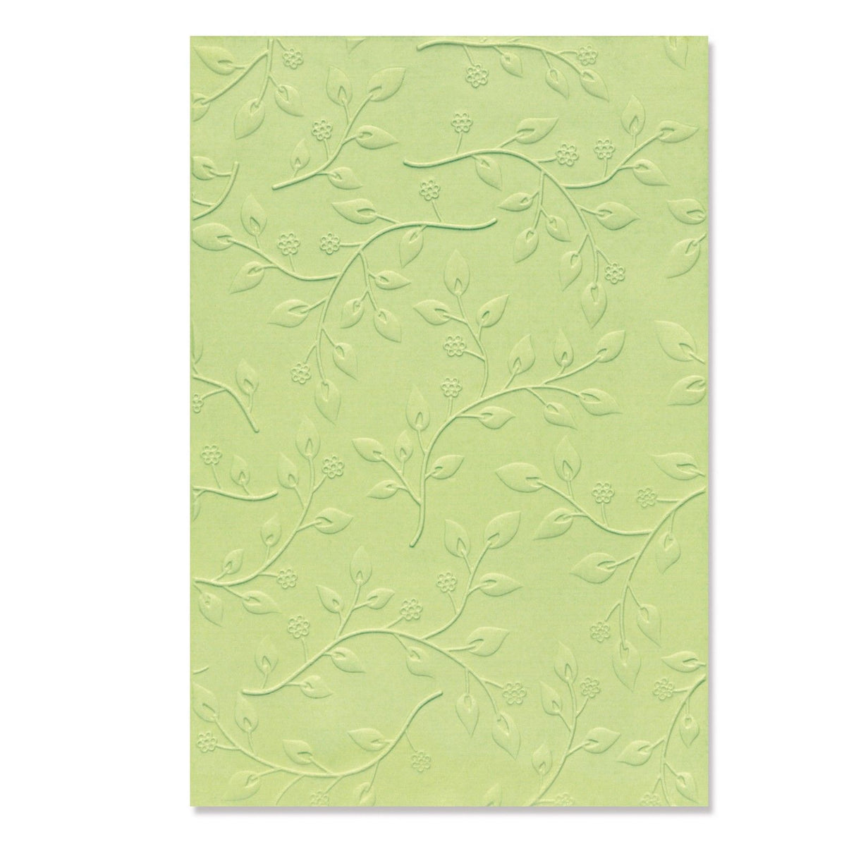 Sizzix • 3-d textured impressions embossing folder summer foliage by