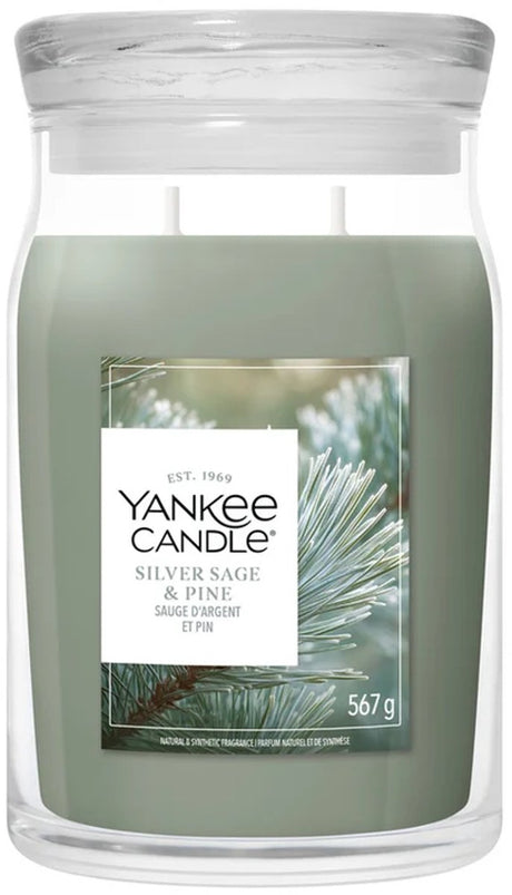 Yankee candle - silver sage pine large jar geurkaars - 90 branduren - twee lonten