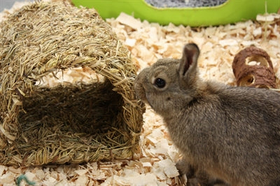 Happy Pet Gray Tunnel