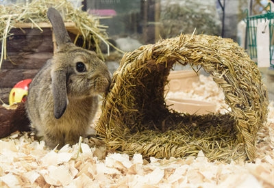 Happy Pet Gray Tunnel