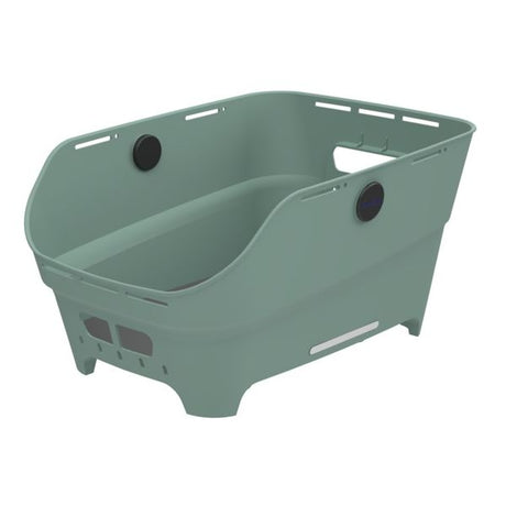 Basil mand cento neo wsl