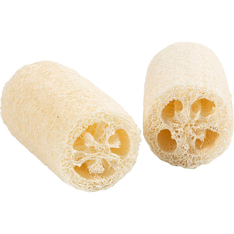 Http: www.cchobby.nl natuurlijke-loofah-spons-l-10-cm-d-5-5-8-cm-licht-naturel-2-stuk-1-doos