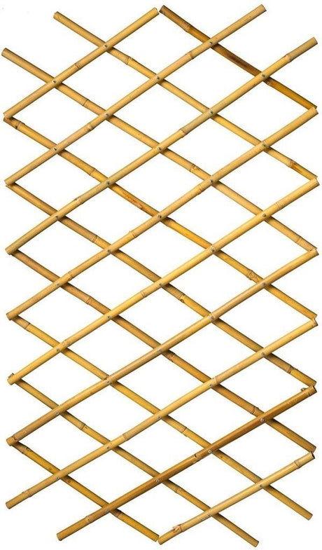 Nature - bamboe klimrek (rekbaar) - 45cm x 1,8m - l