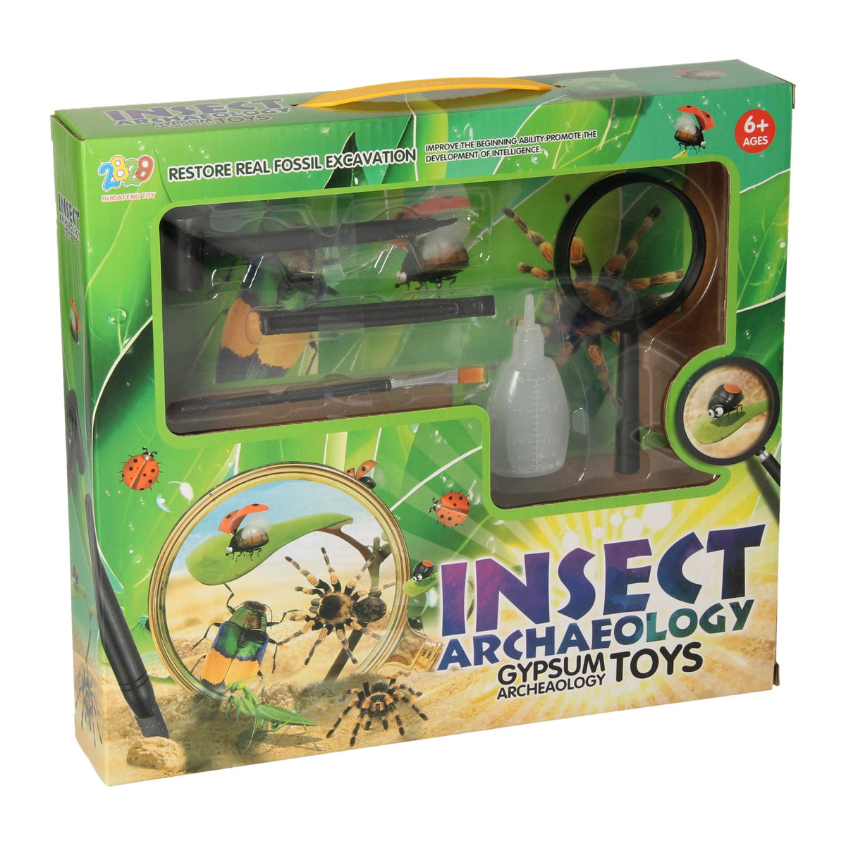 Rc insecten aheologie