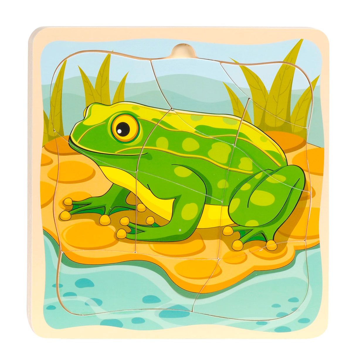 Topbright leet Puzzle Zyklus Frog